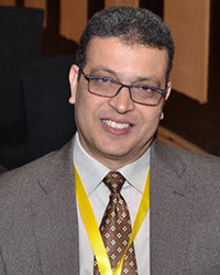 Prof. Hesham Rashed